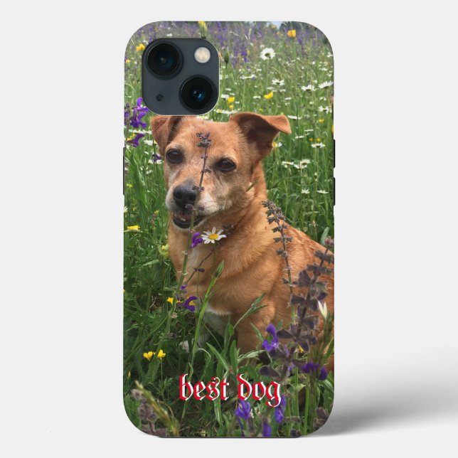 Coques Case-Mate iPhone Porte-téléphone pour photographe (Verso)