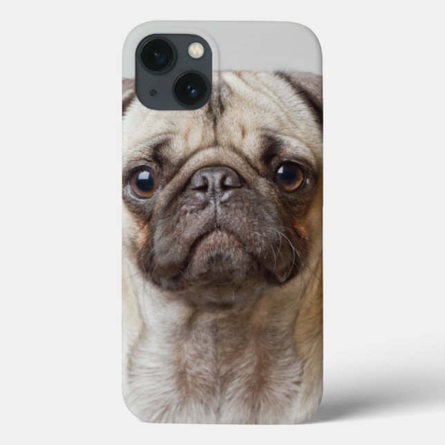 Coques Case-Mate iPhone Portrait carlin (Verso)
