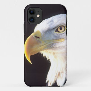 Coques Pour iPhone Portrait d'aigle royal, Haliaeetus leucocephalus,