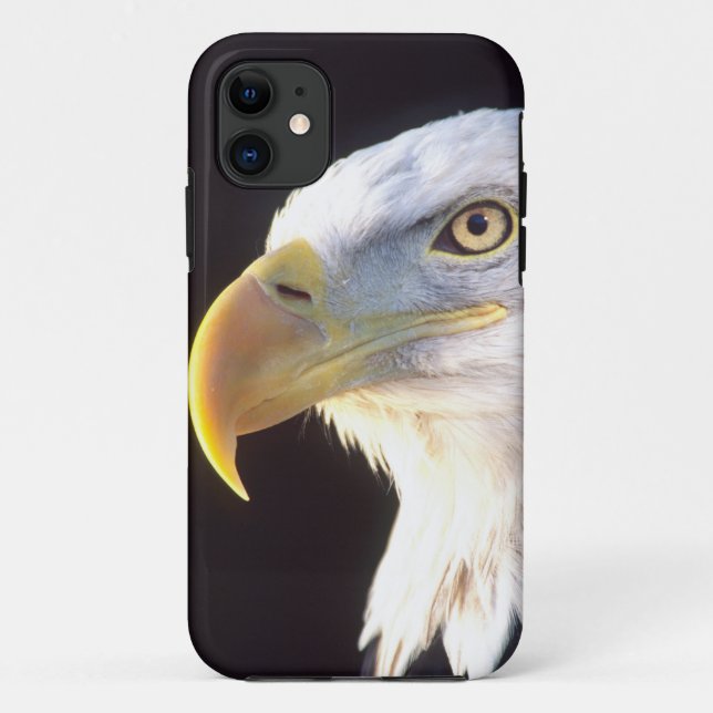 Coques Case-Mate iPhone Portrait d'aigle royal, Haliaeetus leucocephalus, (Dos)
