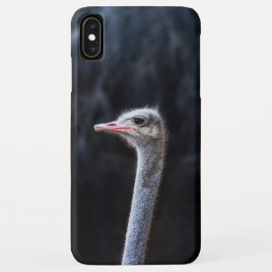 Case-Mate iPhone Case portrait d'autruche