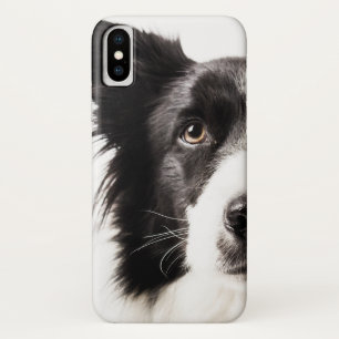 Coque iPhone X Portrait de border collie