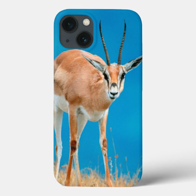 Coques Case-Mate iPhone Portrait de brebis de la gazelle de Grant (Gazella (Verso)
