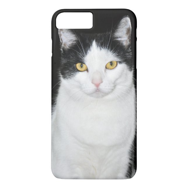 Coques Case-Mate iPhone Portrait de chat noir et blanc (Dos)