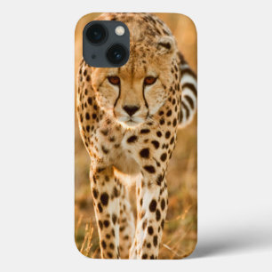 iPhone 13 Case Portrait de Cheetah
