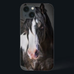 Coques Pour iPhone Portrait de cheval II<br><div class="desc">Animaux</div>