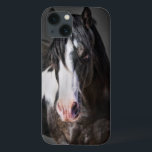 Coques Pour iPhone Portrait de cheval II<br><div class="desc">Animaux</div>