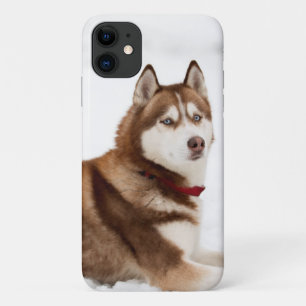 Case-Mate iPhone Case Portrait de Cute Sibérien Husky
