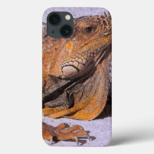 Coque Case-Mate iPhone Portrait de l'Iguana