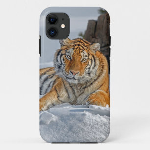 Coque Case-Mate iPhone Portrait de neige du tigre