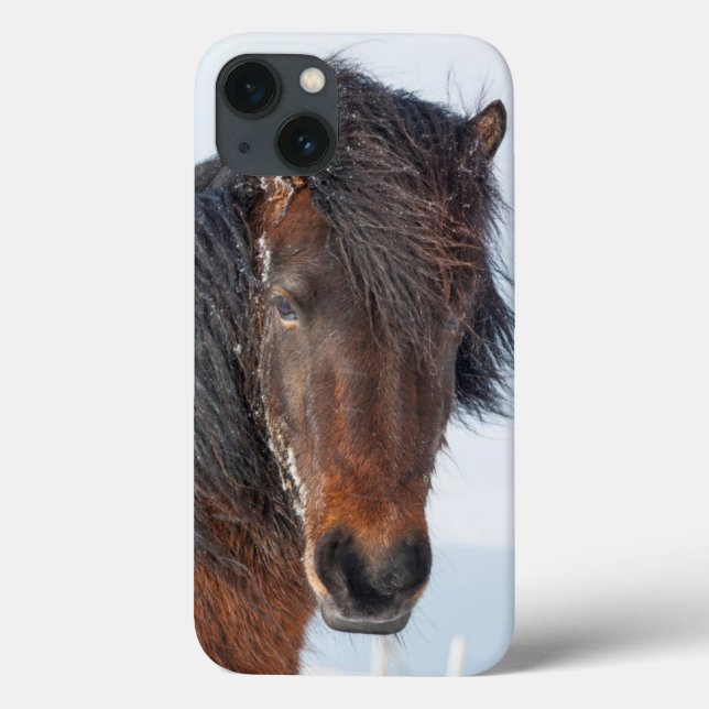Coques Case-Mate iPhone Portrait de tête de cheval islandais royal (Verso)