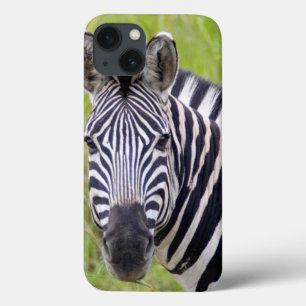 Coque Case-Mate iPhone Portrait de zèbre de plaines, jeu de