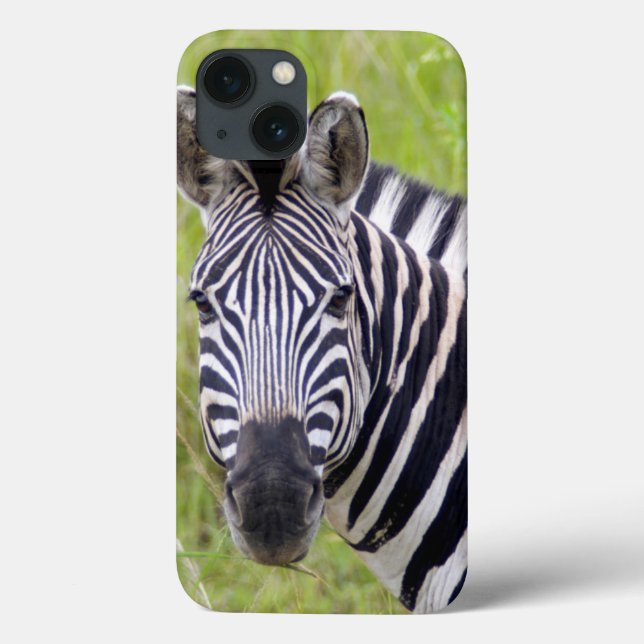Coques Case-Mate iPhone Portrait de zèbre de plaines, jeu de (Verso)