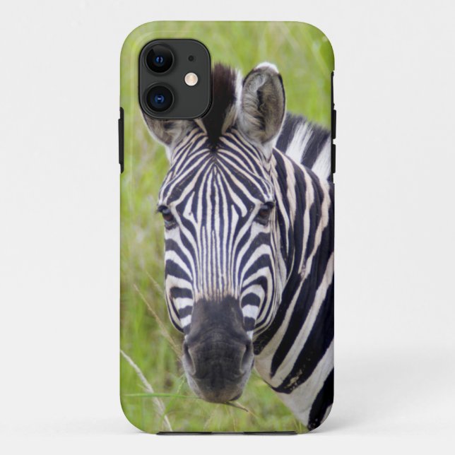 Coques Case-Mate iPhone Portrait de zèbre des plaines, Hluhluwe-Umfolozi G (Dos)