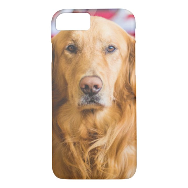 Coques Case-Mate iPhone Portrait du chien Golden Retriever (Dos)