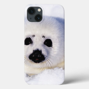 Case-Mate iPhone Case Portrait d'une hanche de phoque de harpe