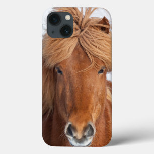 Coque Case-Mate iPhone Portrait islandais Brown de cheval