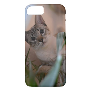 Coque Case-Mate iPhone Portrait mignon de photo de chat