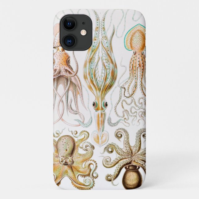 Coques Case-Mate iPhone Poulpe Calmar, Gamochonia par Ernst Haeckel (Dos)