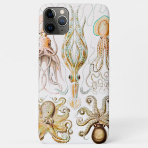 Case-Mate iPhone Case Poulpe Calmar, Gamochonia par Ernst Haeckel