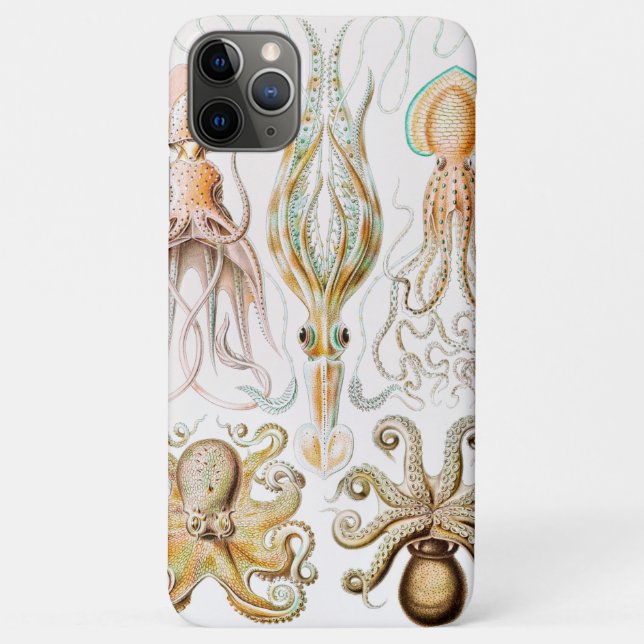 Coques Case-Mate iPhone Poulpe Calmar, Gamochonia par Ernst Haeckel (Dos)