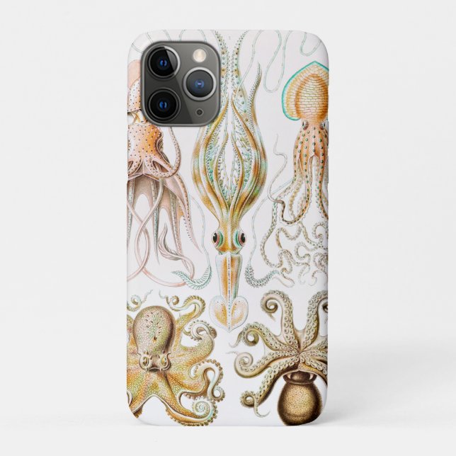 Coques Case-Mate iPhone Poulpe Calmar, Gamochonia par Ernst Haeckel (Dos)