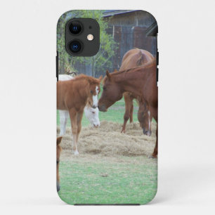 Coque iPhone 11 Pour l'amour des chevaux