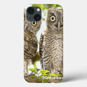 Case-Mate iPhone Case Poussins de hiboux de cri strident