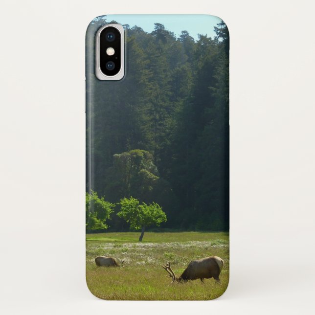 Coques Case-Mate iPhone Prairie aux élans du parc national de Redwood (Dos)