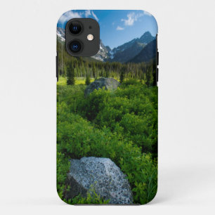 Coque iPhone 11 Prairie et mont Stuart