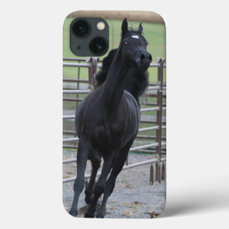 Case-Mate iPhone Case Prancing Black Arabian