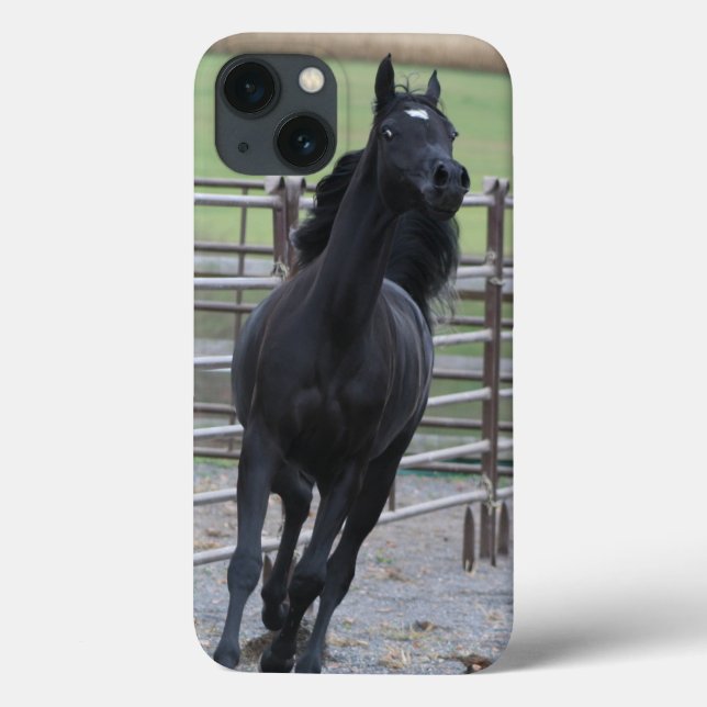 Coques Case-Mate iPhone Prancing Black Arabian (Verso)