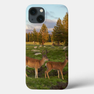 Coque Case-Mate iPhone Pré de Tuolumne, Yosemite