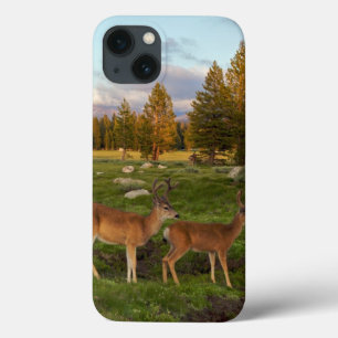 Etui iPhone 13 Pré de Tuolumne, Yosemite
