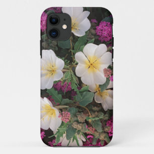 Coque iPhone 11 Primevère du désert du soir et Verveine des sables