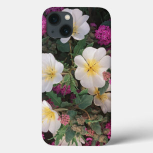 Coque Case-Mate iPhone Primevère du désert du soir et Verveine des sables