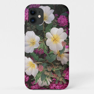 Coque iPhone 11 Primevère du désert du soir et Verveine des sables