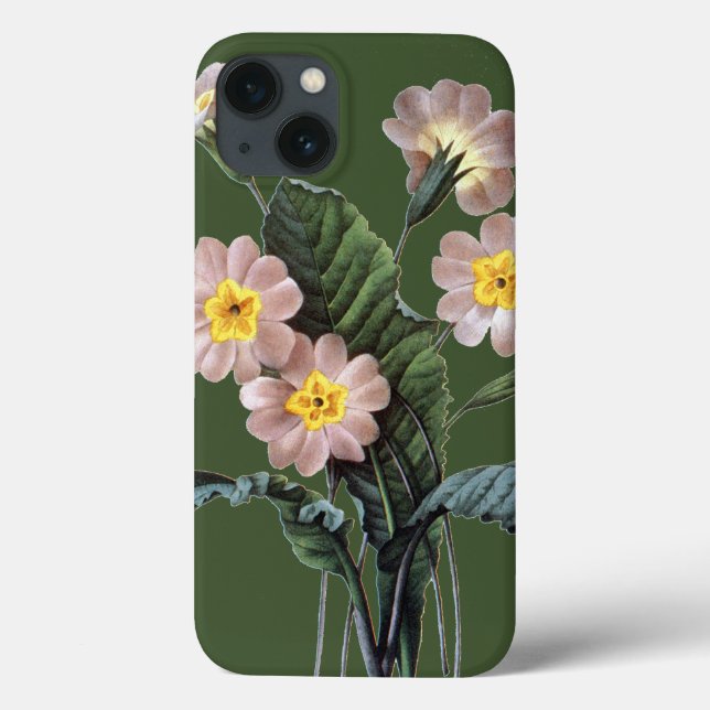 Coques Case-Mate iPhone Primrose (Primula Aucalis) (Verso)