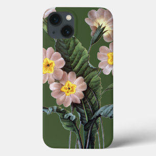 Coques Pour iPhone Primrose (Primula Aucalis)