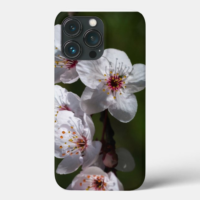 Coques Case-Mate iPhone Printemps fleurs de prune pour les téléphones (Verso)