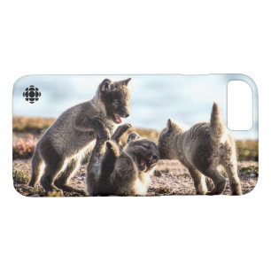 Coques Pour iPhone Printemps - Renard arctique