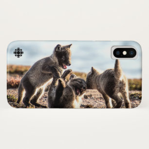 Coque iPhone X Printemps - Renard arctique