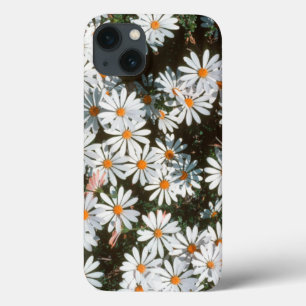 Etui iPhone Case-Mate Profusion Of White Daises (Asteraceae)