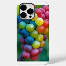 "ProMax Armor : Protection Premium pour votre iPho