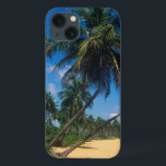 iPhone 13 Coque Puerto Rico, Isla Verde, palm trees<br><div class="desc">Puerto Rico,  Isla Verde,  palm trees � Greg Johnston / superstock.com</div>