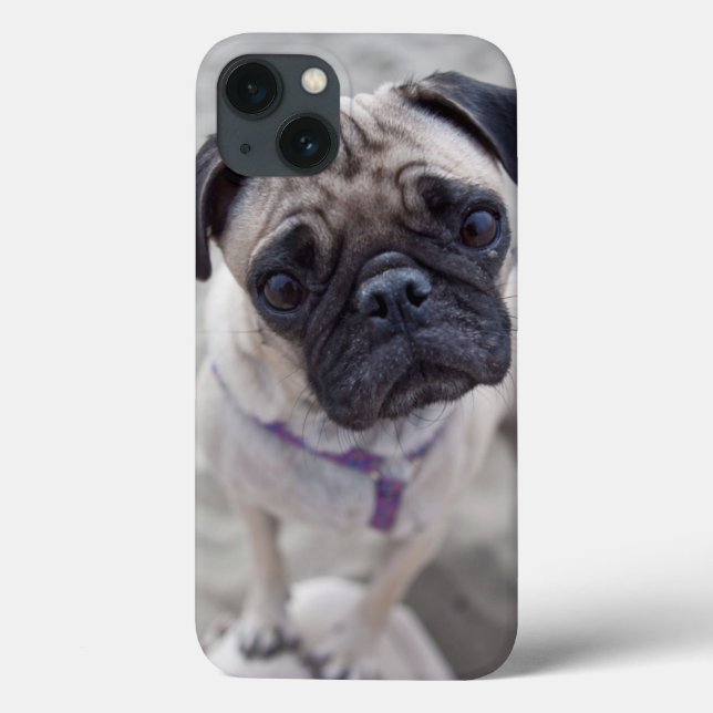 Coques Case-Mate iPhone Pug Closeup (Verso)