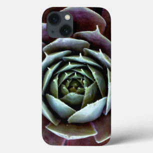 Case-Mate iPhone Case Purple Succulent