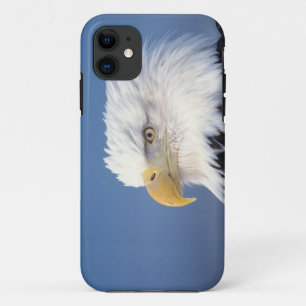 Etui iPhone Case-Mate pygargue à tête blanche, Haliaeetus leuccocephalus