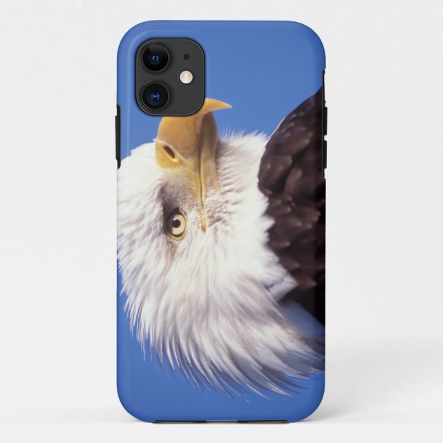 Coques Case-Mate iPhone pygargue à tête blanche, Haliaeetus leucocephalus, (Dos)