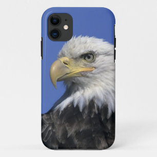Coque Case-Mate iPhone Pygargue à tête blanche, (Haliaeetus leucocephalus